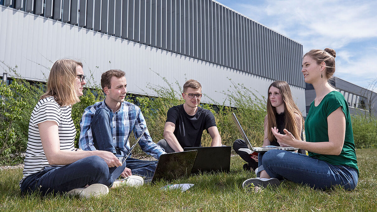 Degree Programmes