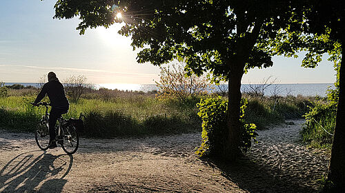 Ein Radfahrer ist vor der utnergehenden Sonne als Silhoutte zu erkennen. Er fährt einen Küstenweg entlang, so dass die Ostsee zu sehen ist.