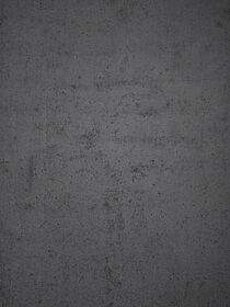 Sandra Jäntsch Sandra Jäntsch